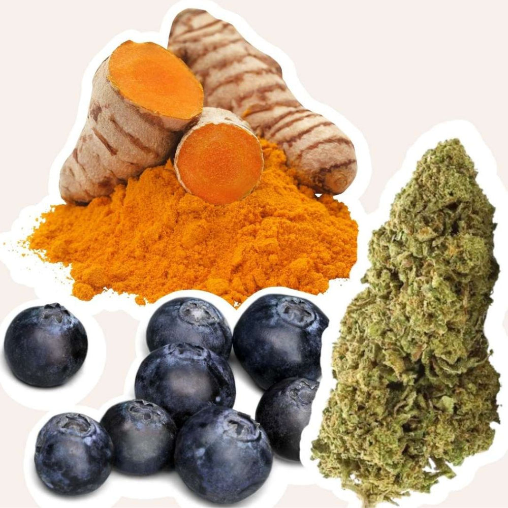 ingrédients gummies curcumine myrtille sativa anti douleur