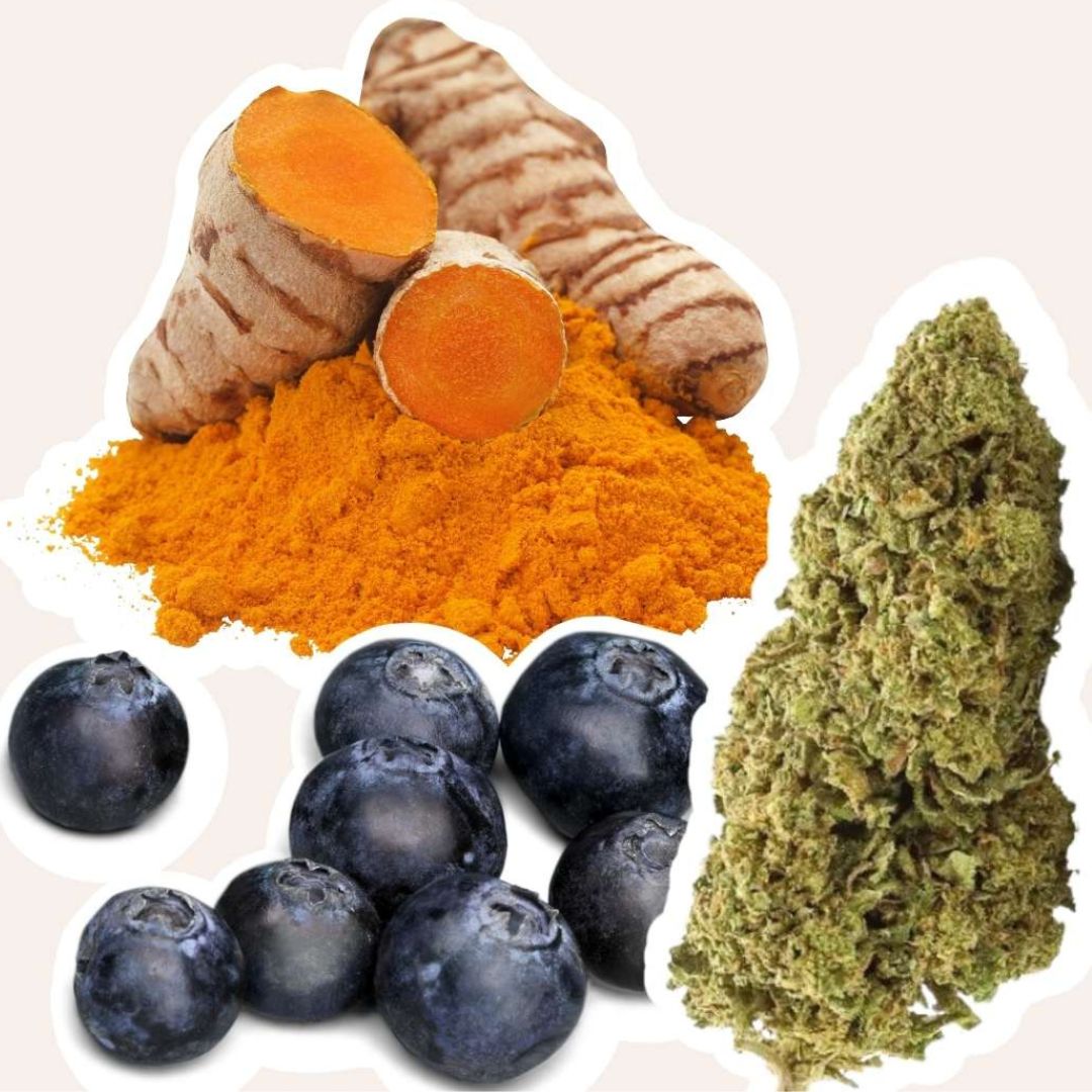 ingrédients gummies curcumine myrtille sativa anti douleur