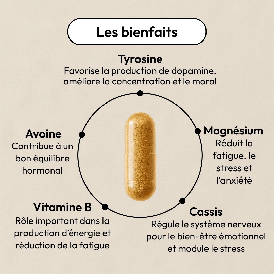 Compléments alimentaires pour booster votre energie - No Blues Equilibrist