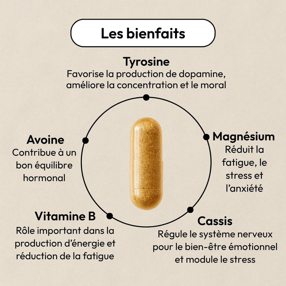 Compléments alimentaires pour booster votre energie - No Blues Equilibrist