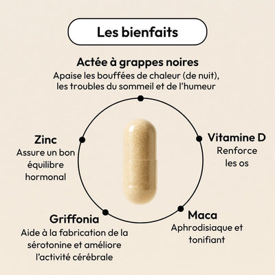 Compléments ménopause pour retrouver un équilibre hormonal  - OClimae Equilibrist