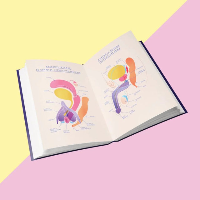 The Basal Thermometer for Ovulation Monitoring - Lady