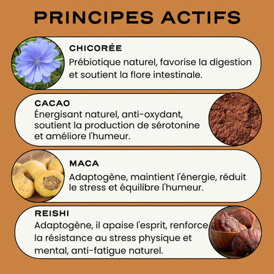Mocha, alternative au café pour la vitalité, stress & digestion - Circles