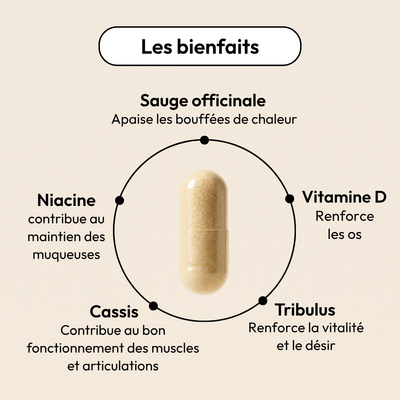 Ménopause-active-equilibrist