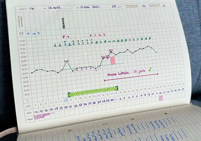 agenda-menstruel-magic-ovaries-symptothermie-composition-gapianne-Gapianne