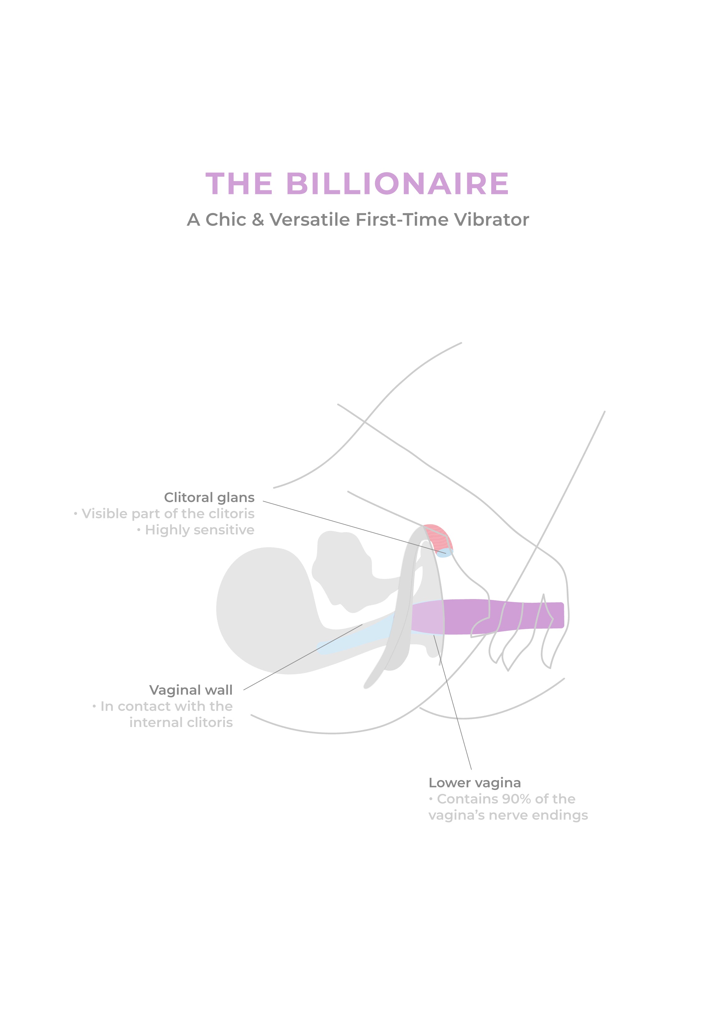 The Billionaire, the vibrator for beginners - Smile Makers
