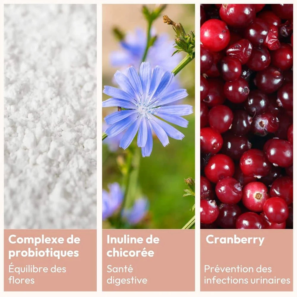 La cure de probiotiques pour la flore intime et intestinale à côté du gel hydratant et apaisant intime de Miyé