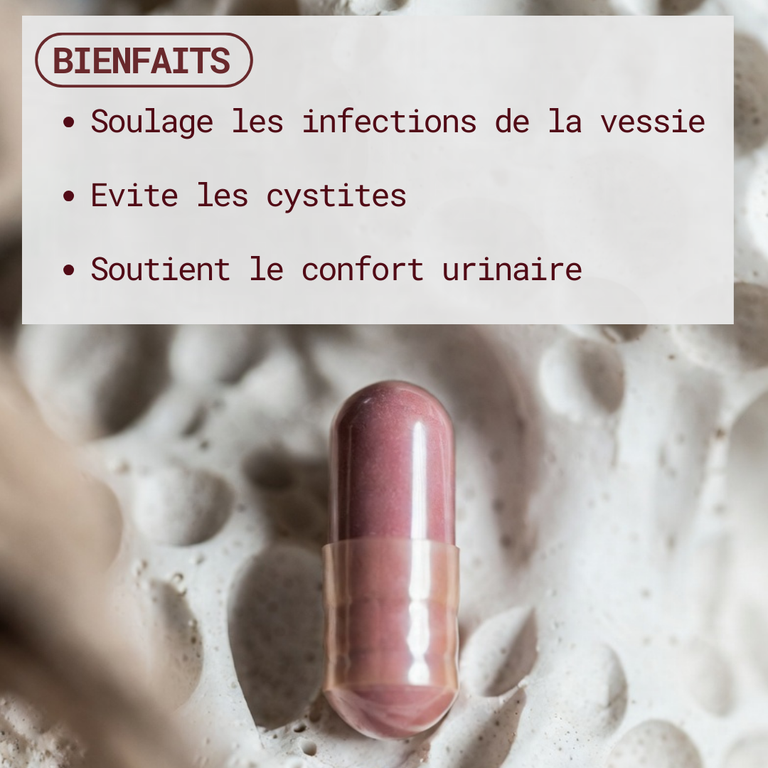 Compléments alimentaires Cranberry - Confort urinaire & Cystites - Gapianne