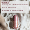 Compléments alimentaires Cranberry - Confort urinaire & Cystites - Gapianne