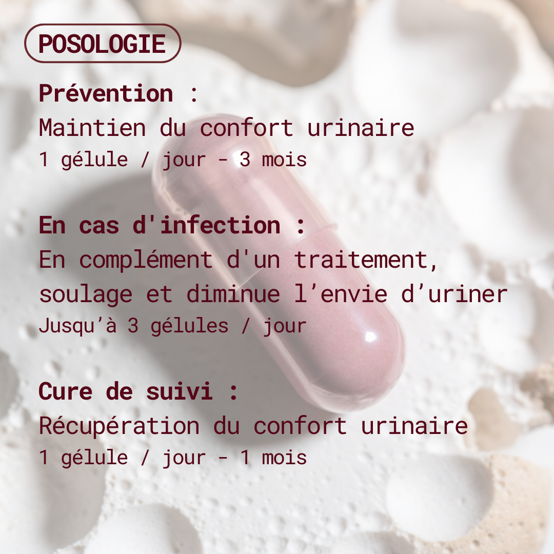 Compléments alimentaires Cranberry - Confort urinaire & Cystites - Gapianne