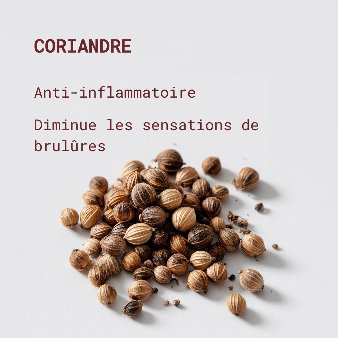 Compléments alimentaires Cranberry - Confort urinaire & Cystites - Gapianne