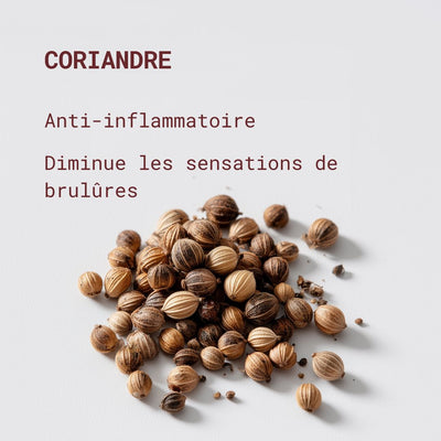 Compléments alimentaires Cranberry - Confort urinaire & Cystites - Gapianne