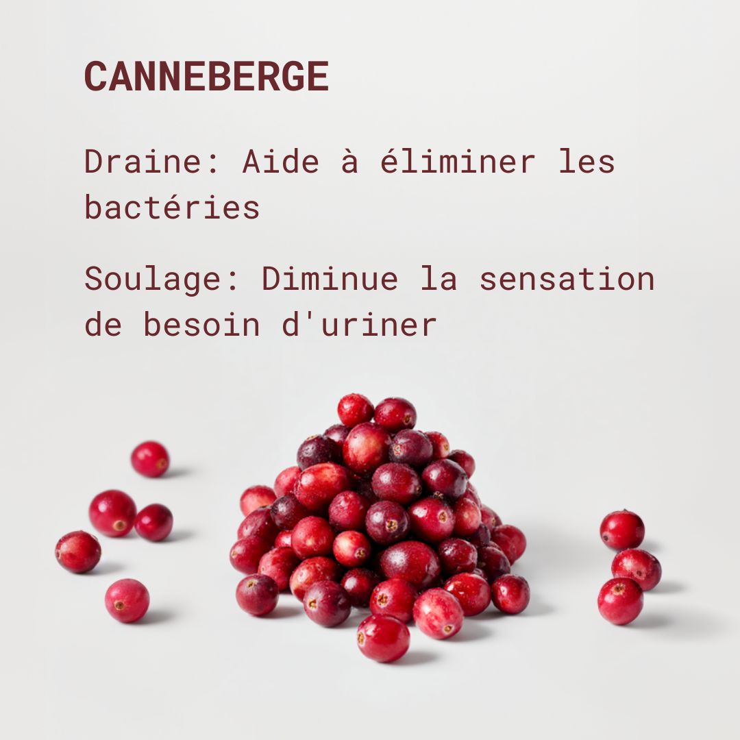 Compléments alimentaires Cranberry - Confort urinaire & Cystites - Gapianne