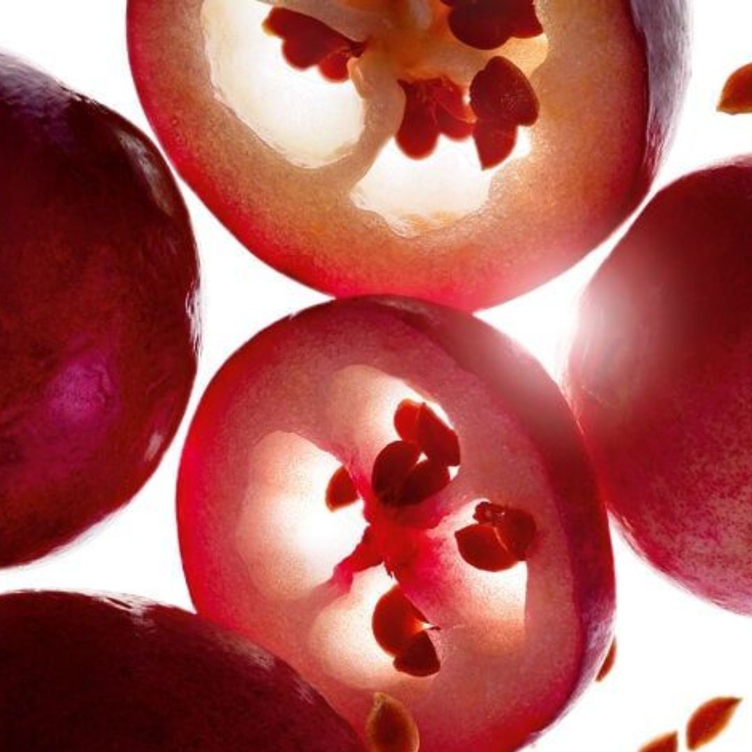 Compléments alimentaires Cranberry - Confort urinaire & Cystites - Gapianne