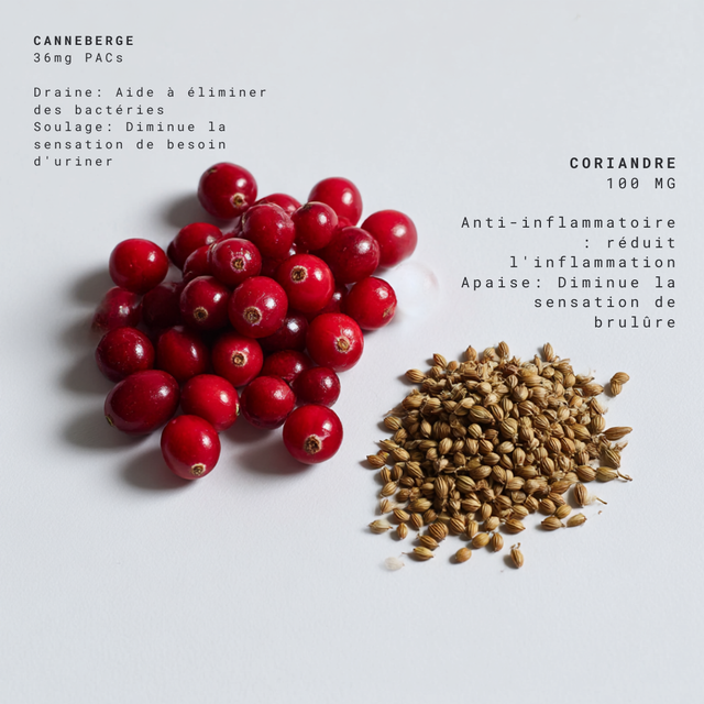canneberge cranberry infection urinaire complément alimentaire