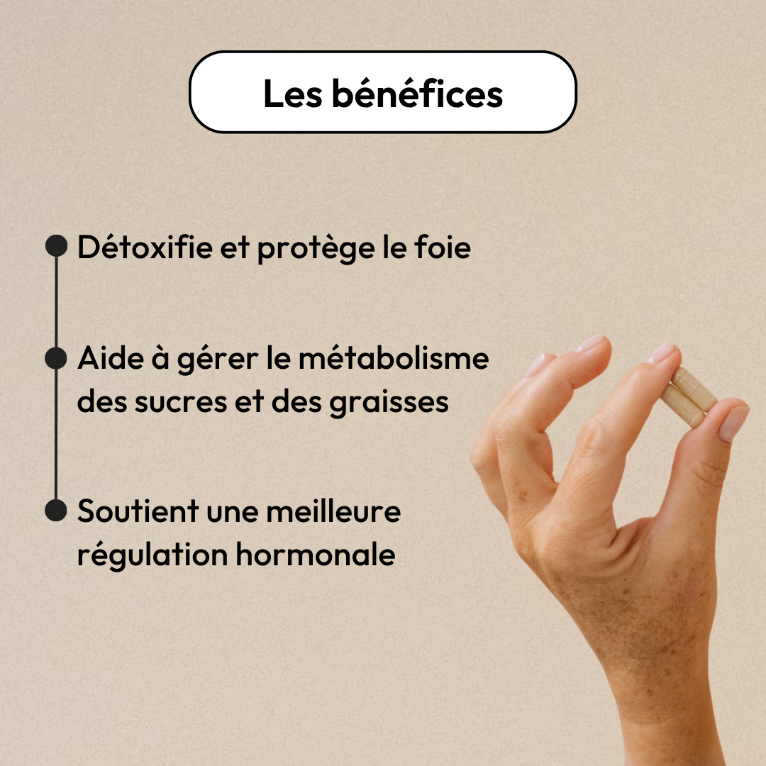 detox-equilibrist