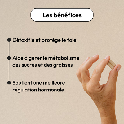 detox-equilibrist