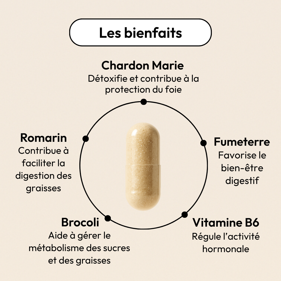 detox-equilibrist
