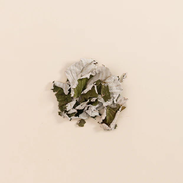 Feuilles de framboisier séchées et coupées pour une infusions Jolly Mama - Gapianne