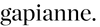 Gapianne logo