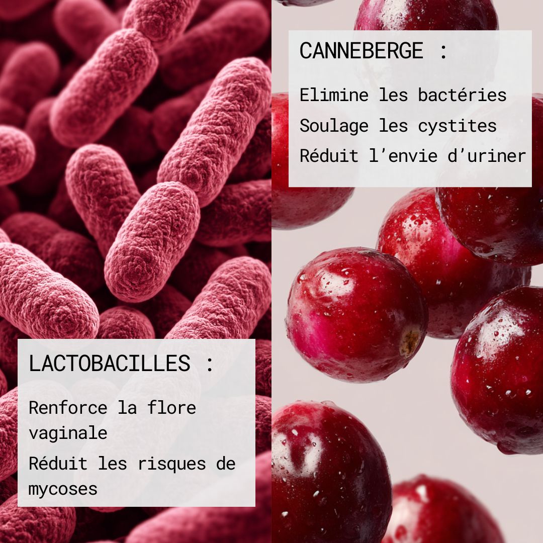 Pack Duo - Equilibre intime & Confort urinaire - Gapianne