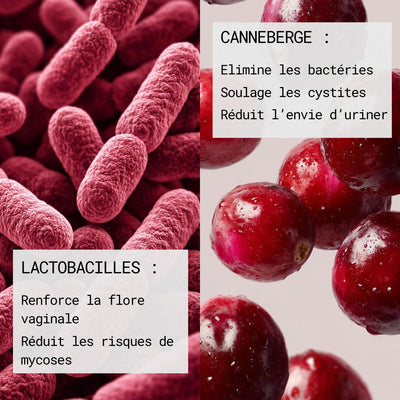 Pack Duo - Equilibre intime & Confort urinaire - Gapianne