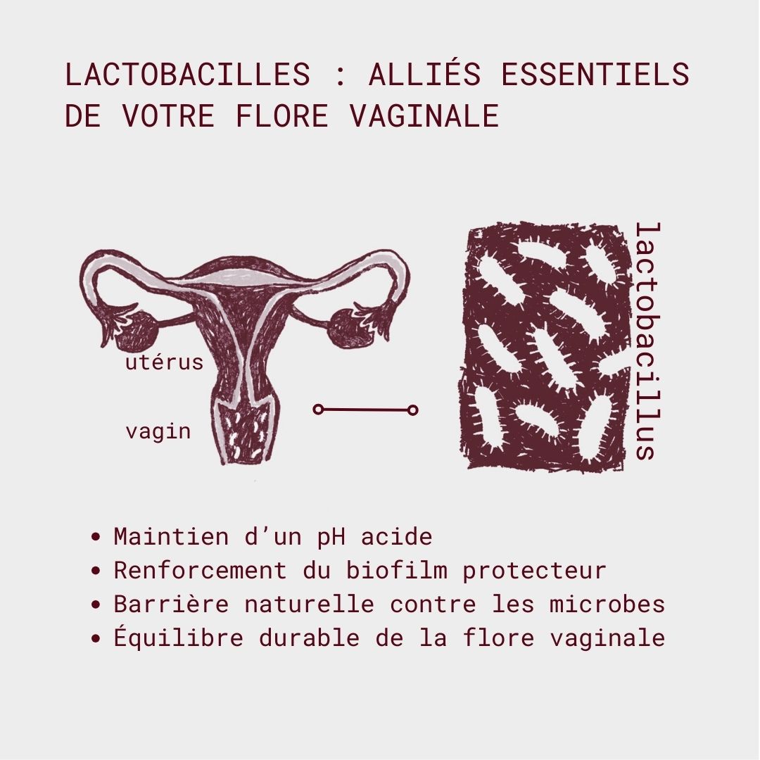 Probiotiques flore intime - Mycose, Vaginose, Irritations & Odeurs - Gapianne