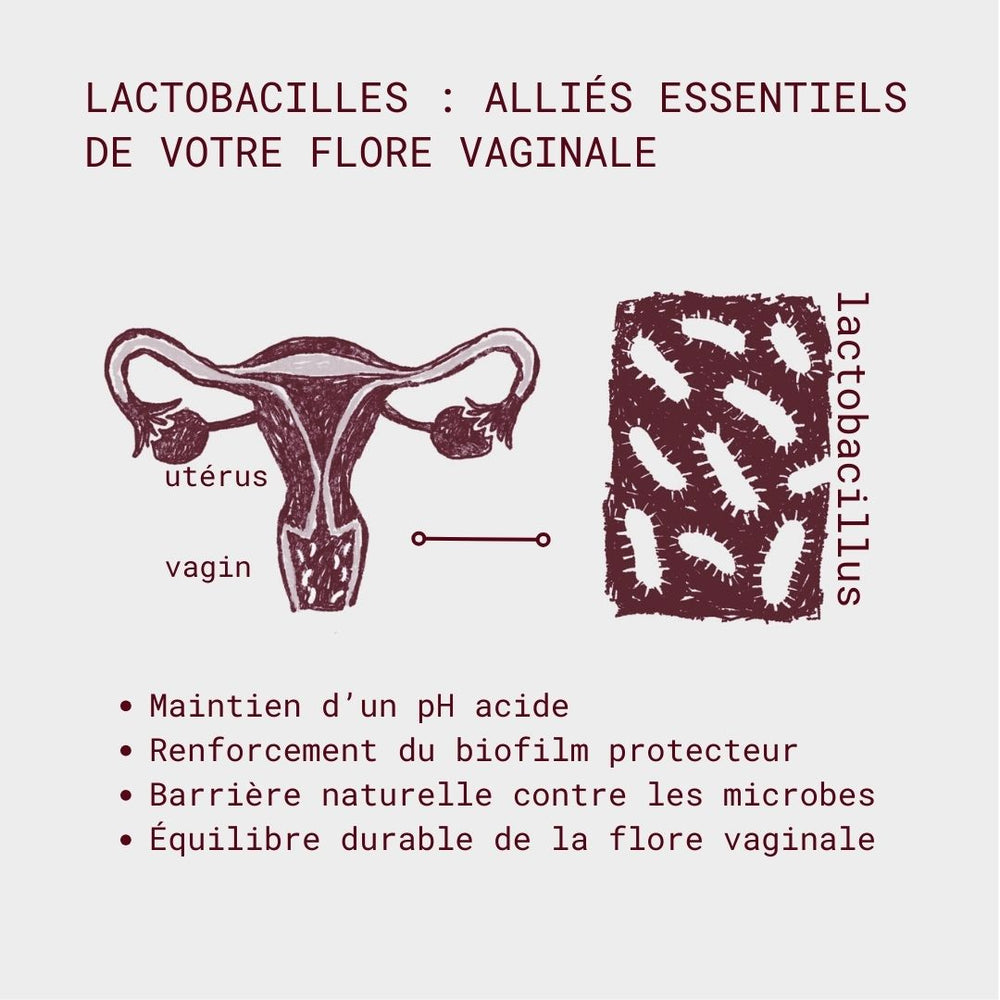 Probiotiques flore intime - Mycose, Vaginose, Irritations & Odeurs - Gapianne