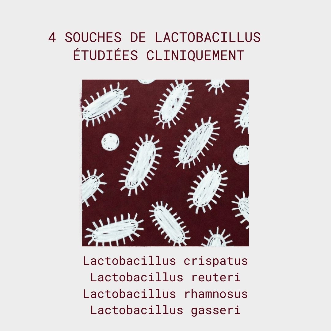 Probiotiques flore intime - Mycose, Vaginose, Irritations & Odeurs - Gapianne