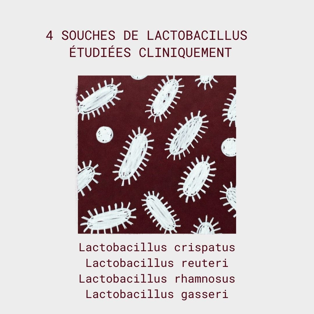 Probiotiques flore intime - Mycose, Vaginose, Irritations & Odeurs - Gapianne