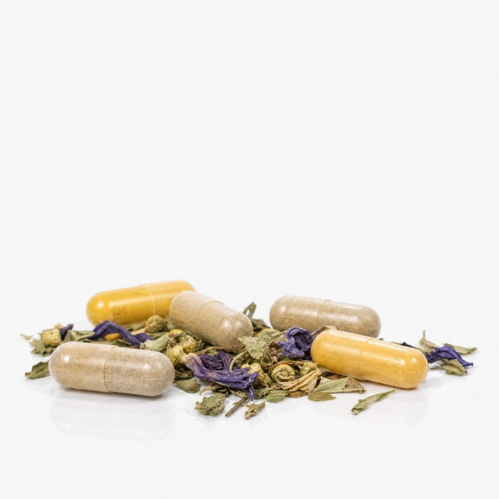 Routine Microbiote Intestinal & Vaginal