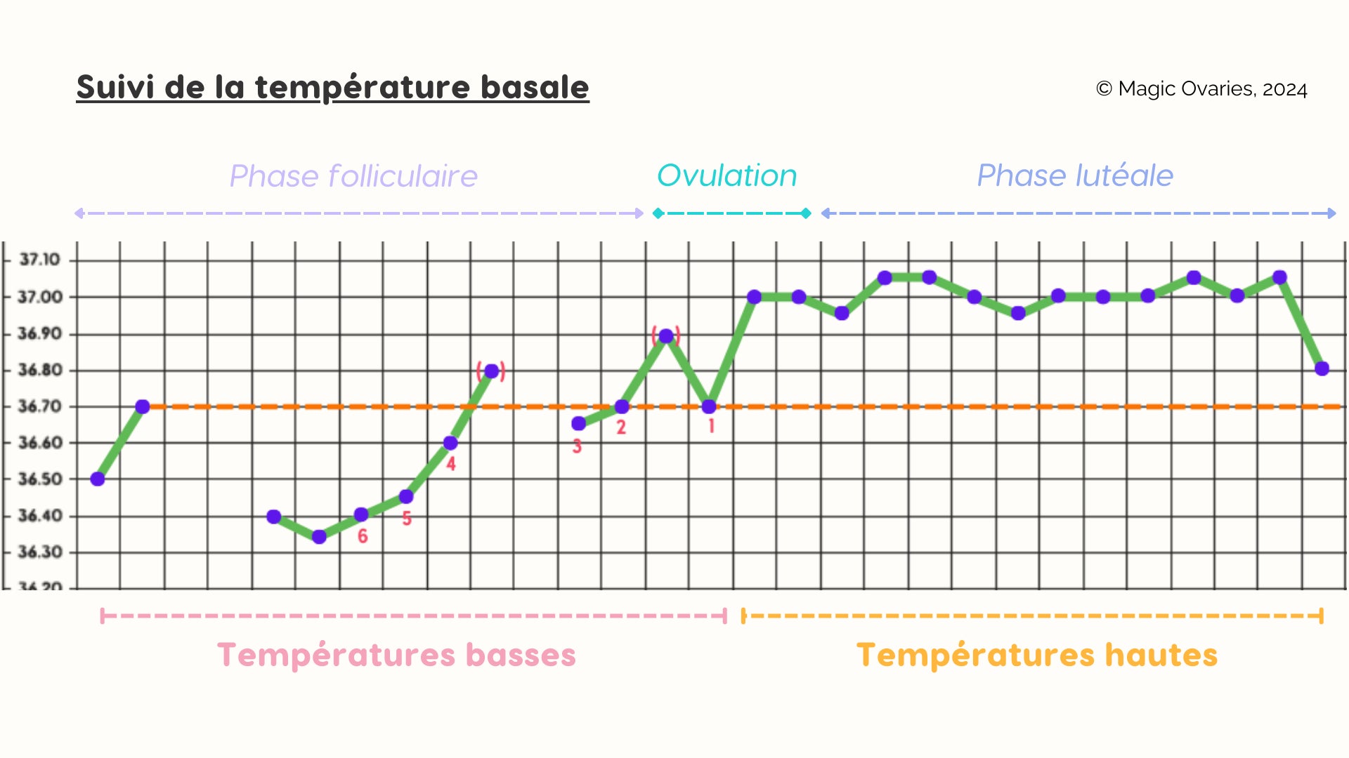 Schéma du suivi de la température basale par Magic Ovaries - Gapianne