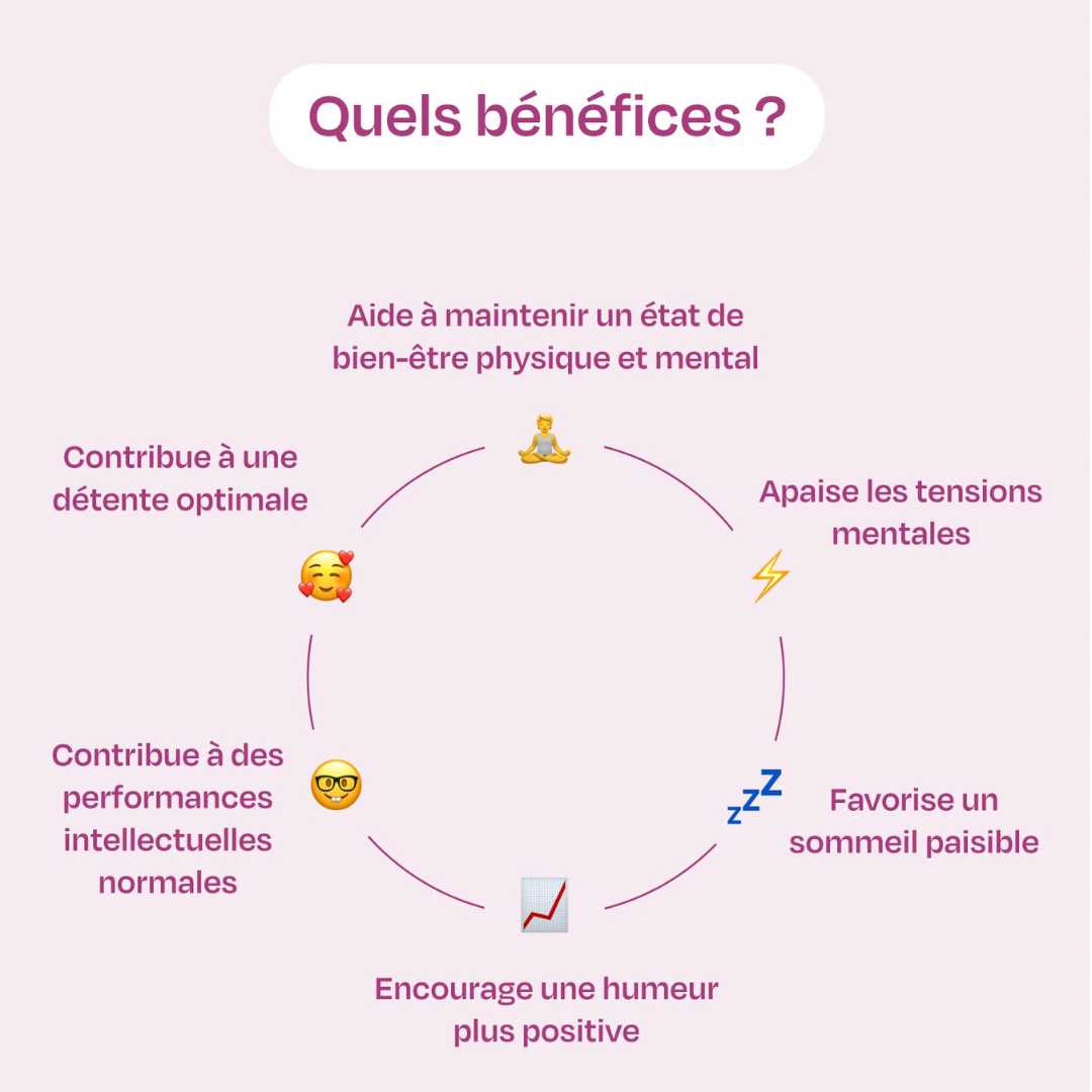 Les bénéfices des compléments alimentaires Booster de sérénité de Sova